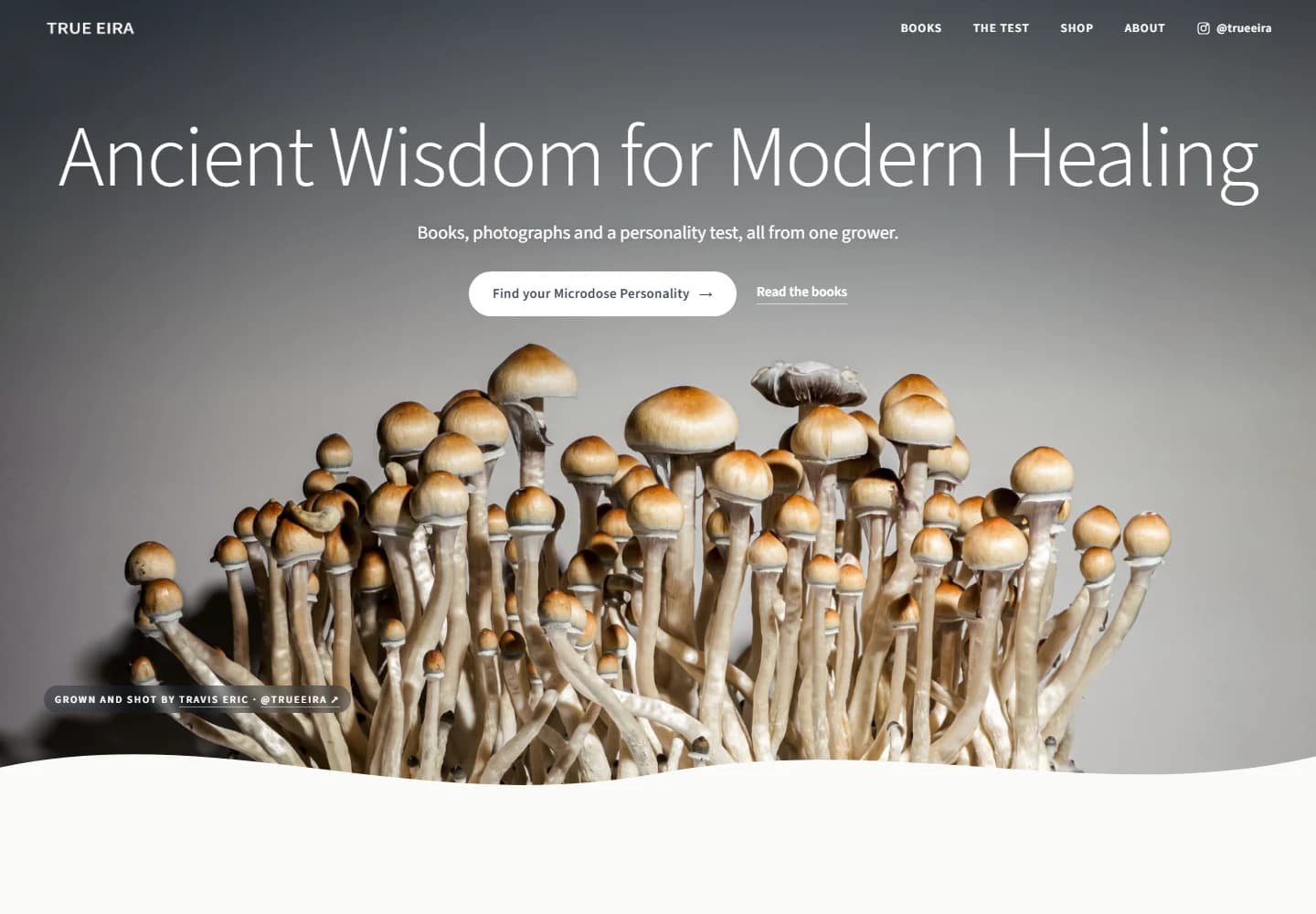True Eira: public website